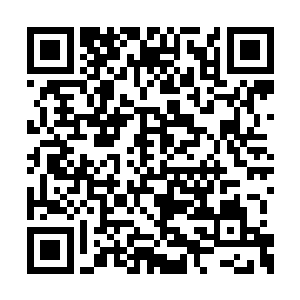 这一次海神殿殿主亚蒂蓝魔带来的这些圣皇强者二维码生成