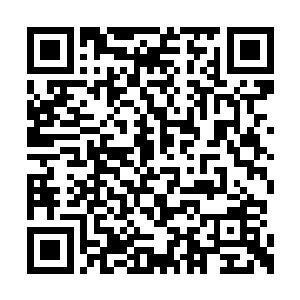 这一次清明书院的确是遇到了最强大的的对手啊二维码生成