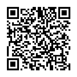 这一次的事情还真的就不能够把事情怪罪于英国政府方面二维码生成