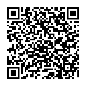 这一次的出发收获自是出乎了杨晨的意料但是经历的风险也非常人所能比拟的二维码生成