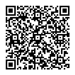 这一次的圣山试炼也基本上算是结束了……接下来只有极短的时间给秦方等试炼者适应一下二维码生成