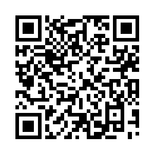 这一次的法国音乐节可是逢十的大节日二维码生成