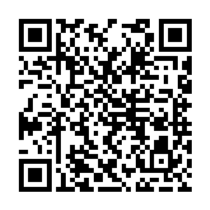 这一次的演唱会宇天大大可是拿了不少的好歌出来二维码生成