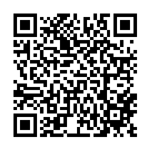 这一次的菩提古树可是出现在天古荒域的最核心的地方的二维码生成