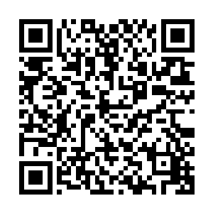 这一次的菩提古树的开启甚至能够吸引到大帝境界的高手的关注二维码生成