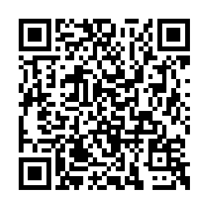 这一次秦宇才发现老道的眼神不再是祥和而平静二维码生成