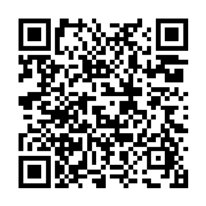 这一次群狼排列的队形简直是连点儿缝隙都没有了二维码生成