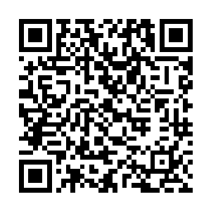 这一次能够被赵纯良邀请来饭桌上的贵族其实并不多二维码生成