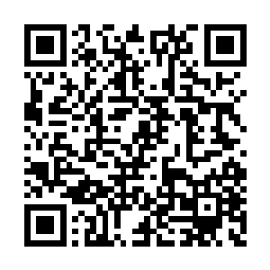 这一次跟杨戬一起去参加丹师大会的一共有三个二维码生成