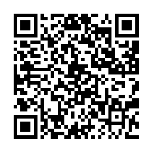 这一次进洞前已经是先往鼻子里面塞了两粒药丸再说二维码生成