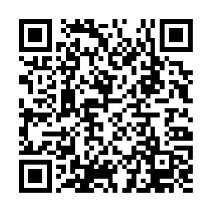 这一次阻挡他拳头的不是千夜那强悍得不可思议的二维码生成