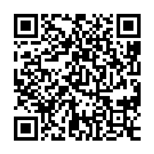 这一次随军过来的还有林烽的老朋友zero以及棒子国第一枪神king二维码生成