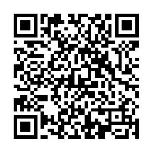 这一次龙傲天给天圣宗带来的破坏简直让他的心在滴血二维码生成