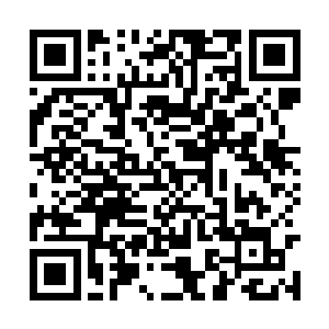 这一池子银浆恐怕是圣君专门为那些傀儡所准备的二维码生成