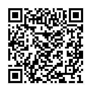 这一波还珠演员在去年的热度还未下降的情况下二维码生成