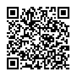 这一点对于已经把曲子听的滚瓜烂熟的她来说根本一点都不难二维码生成
