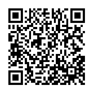 这一点还真的就跟自己的舅姥爷有着相当的不同二维码生成