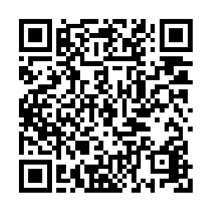 这一片不论白天还是晚上一直都这么灯红酒绿的二维码生成