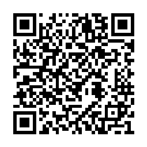 这一片天地可以明显的看到一个个空间裂缝出现二维码生成