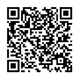 这一片山林连同高尔夫球场全都是薛家本家的产业二维码生成