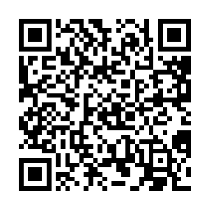 这一片微蓝的汪洋就是在镇压这个正在不断扩张的血海二维码生成