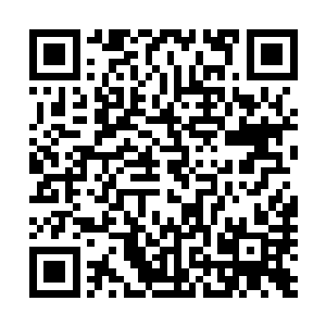 这一片指甲便是让得秦宇差点被灭让得江山社稷图几乎崩塌二维码生成