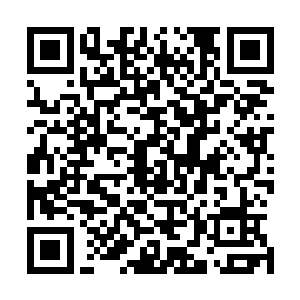 这一片片黄瓜居然能在短短的小半个时辰内腌制的如此到位二维码生成