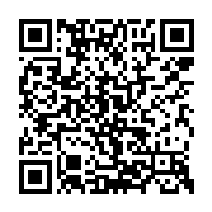 这一片诡异的空间早在杨开的意志闯进来的时候二维码生成