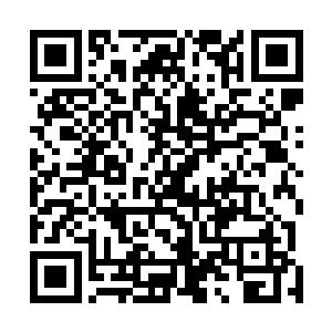 这一界的源境强者在地位上与圣弃界的源境强者略有不同二维码生成