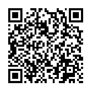 这一番倾诉简直就是他凤瑾元以及凤家全族的一生回忆录二维码生成
