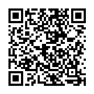 这一百多年他将自己之前在九龙渊外换得的蓝水晶二维码生成