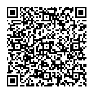 这一看不得了发现皮球这货现在正叼着一只大约只有半大的绿鱿鱼在浅水的沙滩上歪着脑袋大口大口的嚼着二维码生成