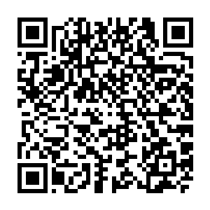 这一箭　他更是灌注了全部心神　甚至在拉成了满月之后依旧扩散了那么一点二维码生成