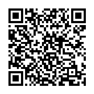 这一类有价值的功法毕竟在所有功法中所占比例不多二维码生成