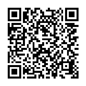 这一结构结合了后世研究成果和杨晨本身特点形成二维码生成