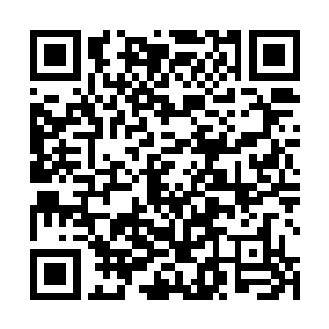 这一结果就是让雷欢喜成为了国际海洋协会的荣誉大使二维码生成