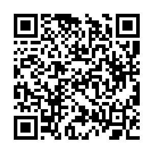 这一缕无垢之气就仿佛是受到了某种致命的吸引力二维码生成