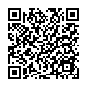 这一群年轻人便大步朝着先生所住的燕子坞村头跑过去二维码生成