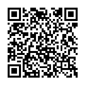 这一行几十骑掠过长龙也似无穷无尽的南下队伍二维码生成