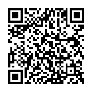 这一趟我们去参加拍卖会肯定不会是一帆风顺的二维码生成