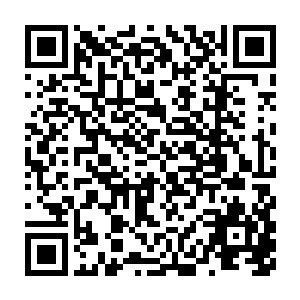 这一路上对面的司机们一直在叫嚷给过去的司机们表达自己的惊惶情绪二维码生成