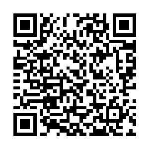 这一路上已经陆陆续续地从空间里调了很多东西出来二维码生成