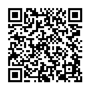 这一路上的所见所闻已经彻底震撼了他们的心灵二维码生成