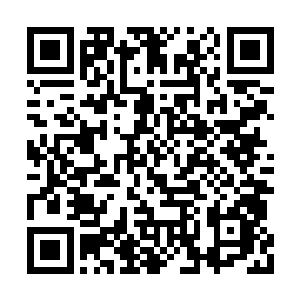 这一路上除了莫飘这个爱花成痴的花痴偶尔犯二二维码生成