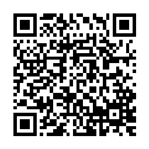 这一路没有什么伤亡以及跟着他们一起回来的都有哪些人云云二维码生成