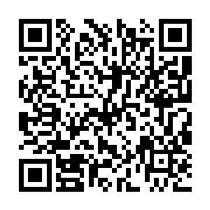 这一路的追击紫禁皇城还没意识到已经伤亡过半了二维码生成