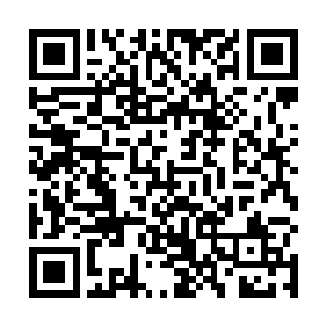 这一轮萧晨的对手是十大宗门的一名亲传弟子东方欲白二维码生成