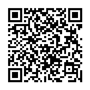 这一辈子北影堂主可能就会被困在圣域六重天这个境界二维码生成