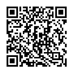 这一边残存的大能们吸收着洪荒天道赐下的玄黄功德二维码生成