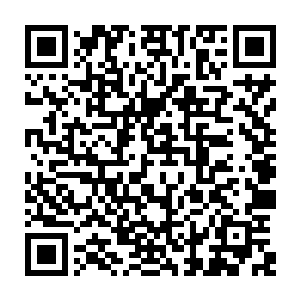 这一边白骨舰队之上的三个化灵境强者中的两个化灵初期想要冲过去抢阿蛮妹二维码生成